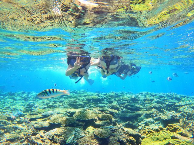 ★世界が恋する、ケラマブルーの海♪