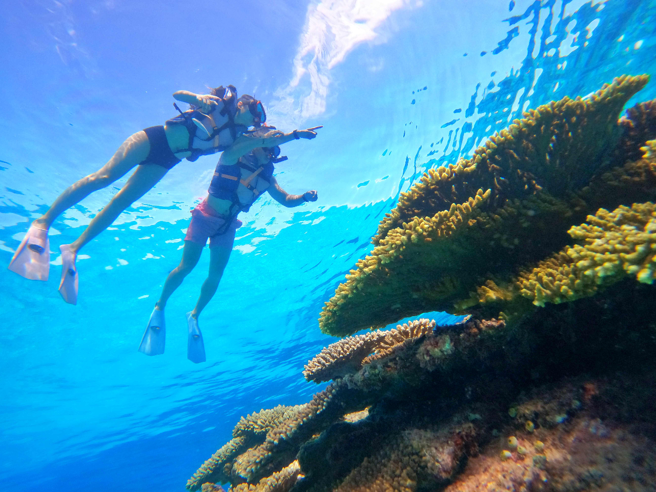 ★2024年じゃらん沖縄・那覇&慶良間諸島エリア・口コミランキング第1位★