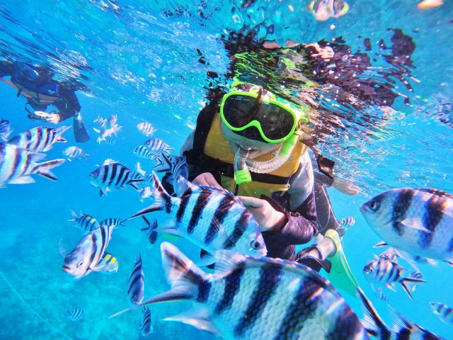 ★2024年じゃらん沖縄・那覇&慶良間諸島エリア・口コミランキング第1位★