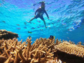 ★じゃらん沖縄・口コミ年間ランキング3年連続第1位!