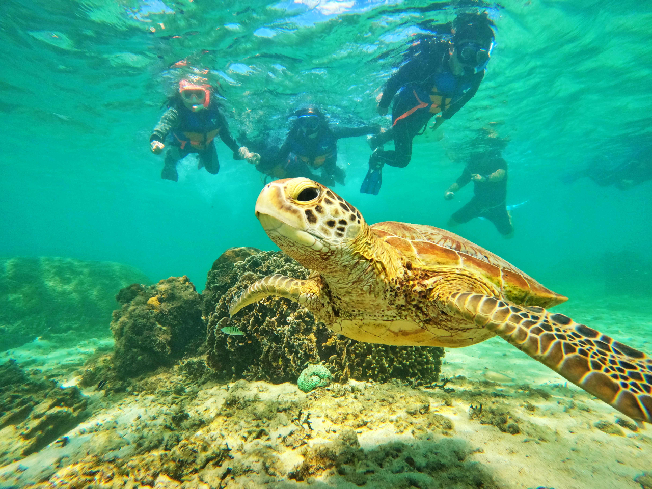 那覇発・慶良間諸島・半日】ボートシュノーケリング＋バナナボート
