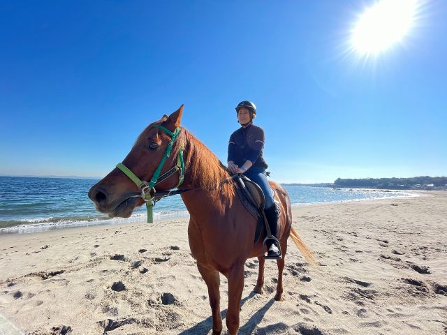 三浦で乗馬体験 海岸外乗 じゃらん特別初心者コース 約1分 ホーストレッキングファーム三浦海岸 じゃらん遊び体験 三浦で乗馬体験 海岸外乗 じゃらん特別初心者コース 約1分 ホーストレッキングファーム三浦海岸 じゃらん遊び体験