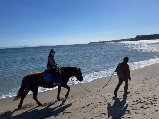 三浦で乗馬体験 海岸外乗 じゃらん特別初心者コース 約1分 ホーストレッキングファーム三浦海岸 じゃらん遊び体験 三浦で乗馬体験 海岸外乗 じゃらん特別初心者コース 約1分 ホーストレッキングファーム三浦海岸 じゃらん遊び体験