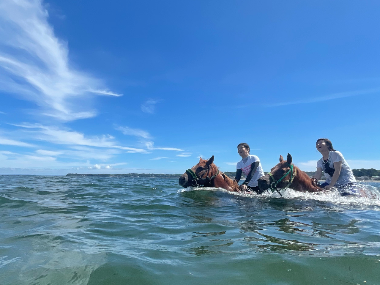 海ボーズ 夏季限定☆お馬さんと海で遊ぼう！】海馬コース（約90分）_/ホース