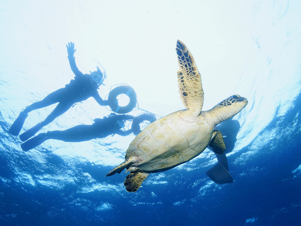 �E�~�K���Əo��邱�Ƃ��I