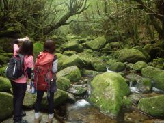 沢の音色に耳をすませば・・・