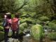 沢の音色に耳をすませば・・・
