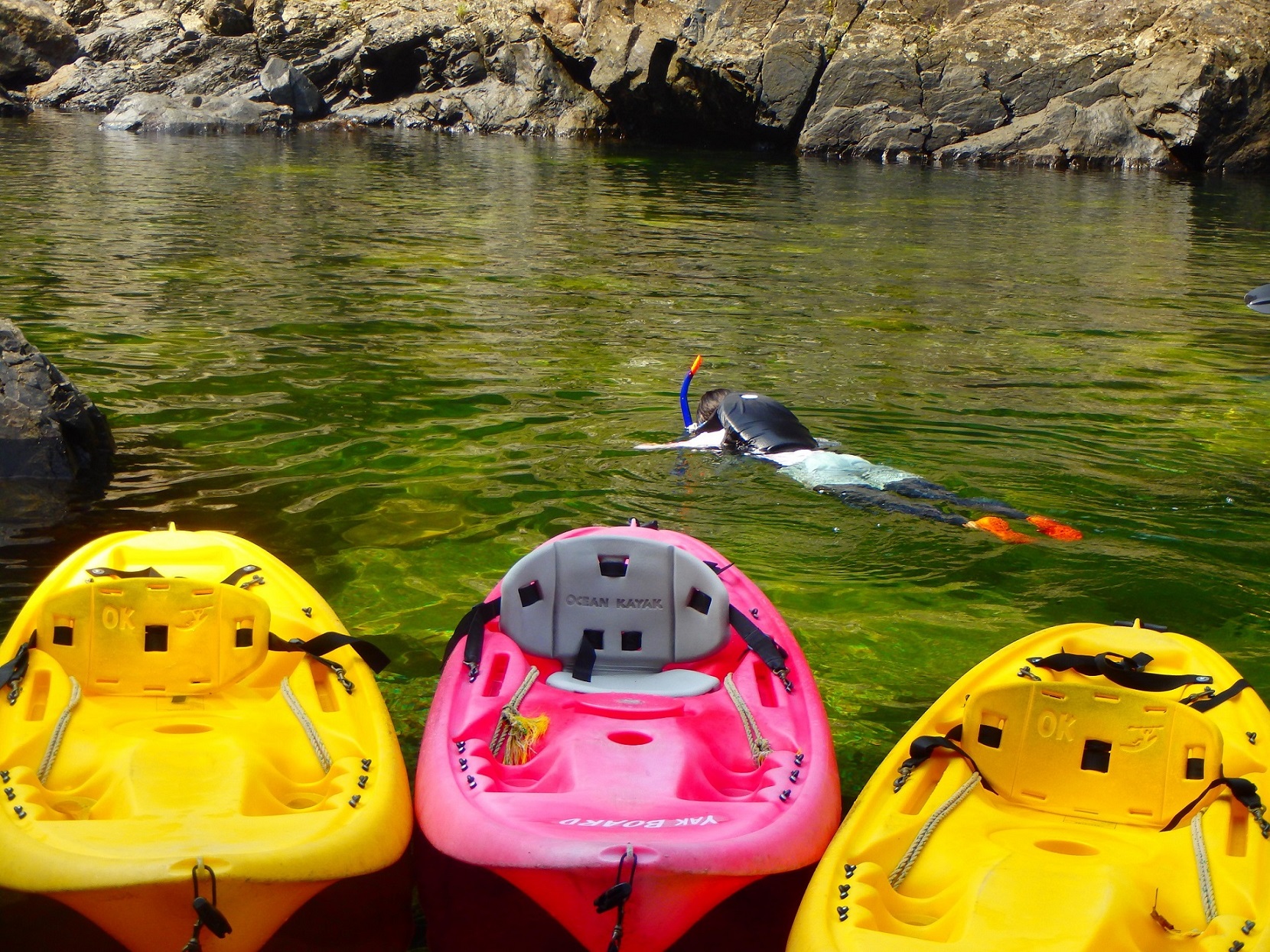 安房川でゆったりリバーカヤックを体験するプランです。2人乗り艇もあるのでご家族での体験もOK☆