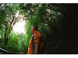 白谷雲水峡の登山口から癒やされます!