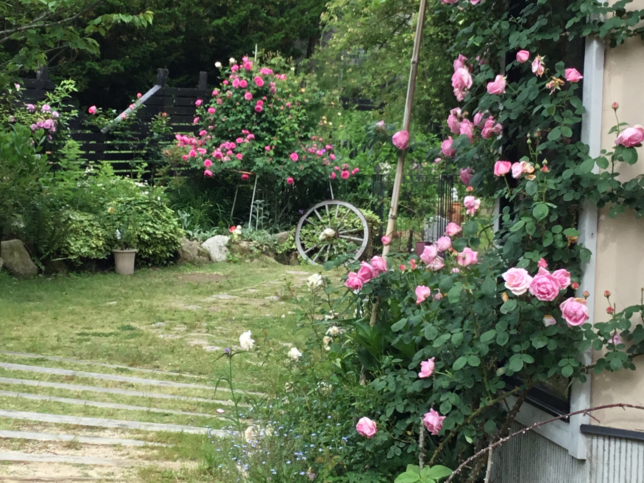 KNȂǋG߂Ȃ炨yݒ܂B