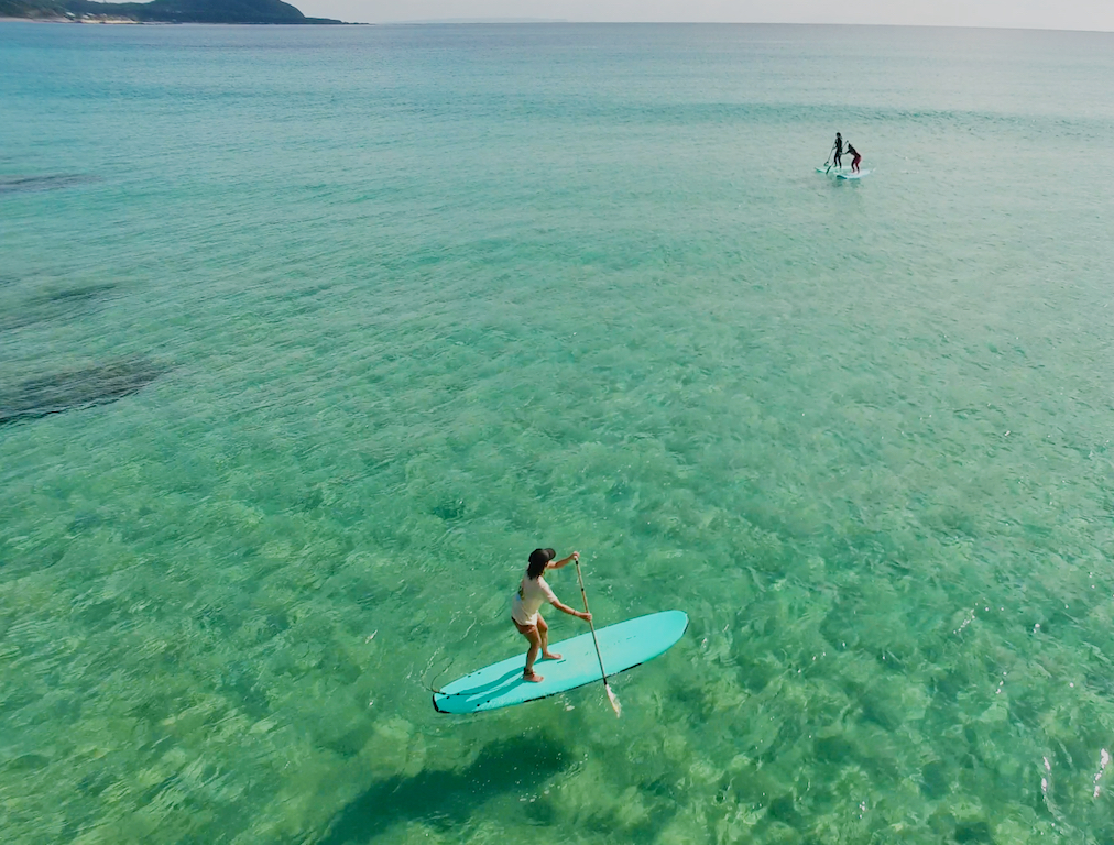 クルージングしながら、サンゴやお魚、カメさんも見えますよ~!
まったくの初心者の方でもOK!レンタル代込みなのも安心♪