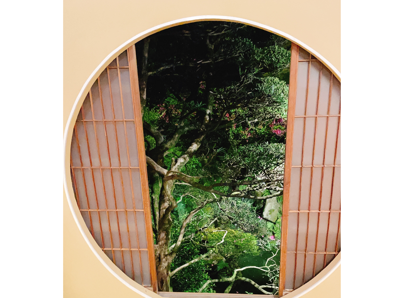 ~猩iF͘a̐EBłʐ^B܂񂩁B