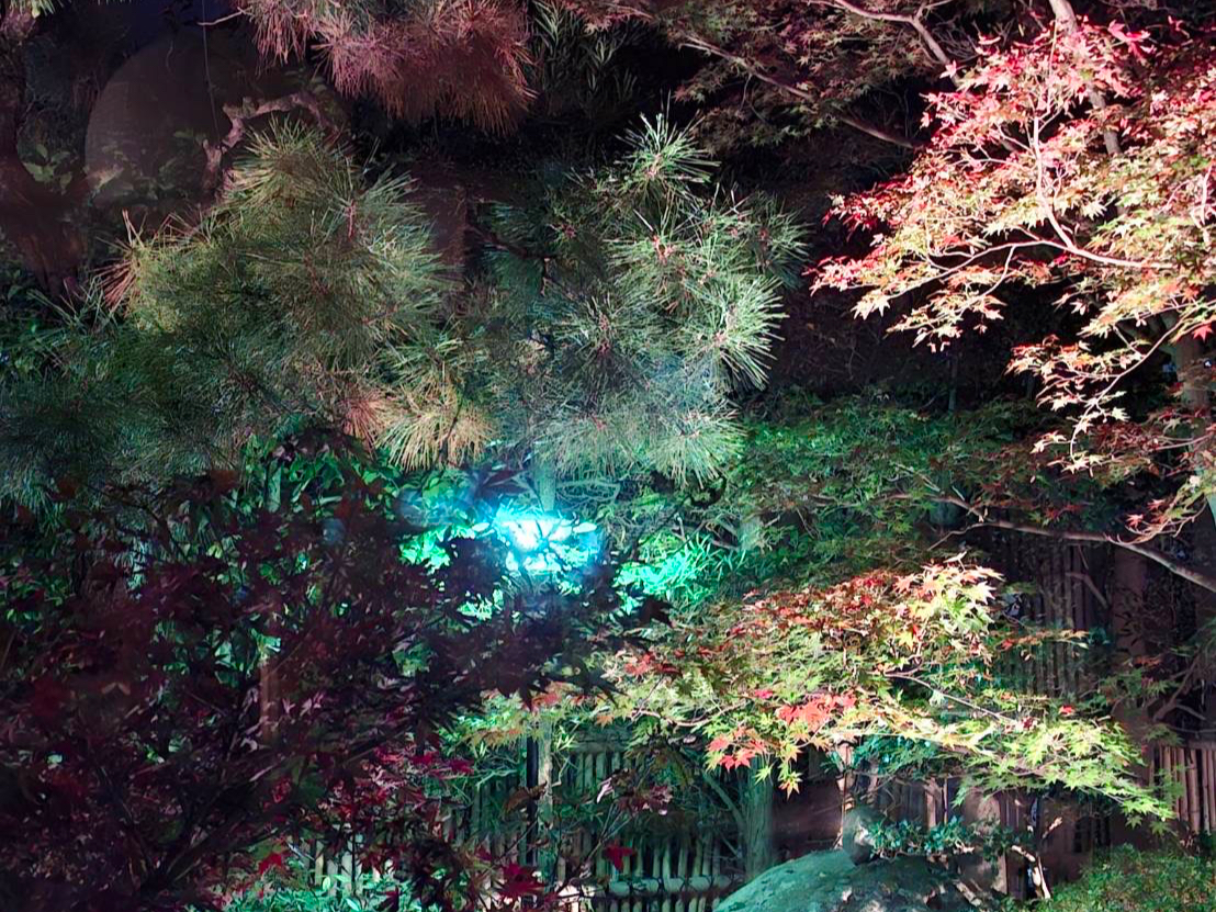 ̂ṕÂ̔ɑ݂܂Bɂ͌jAɖ܂B