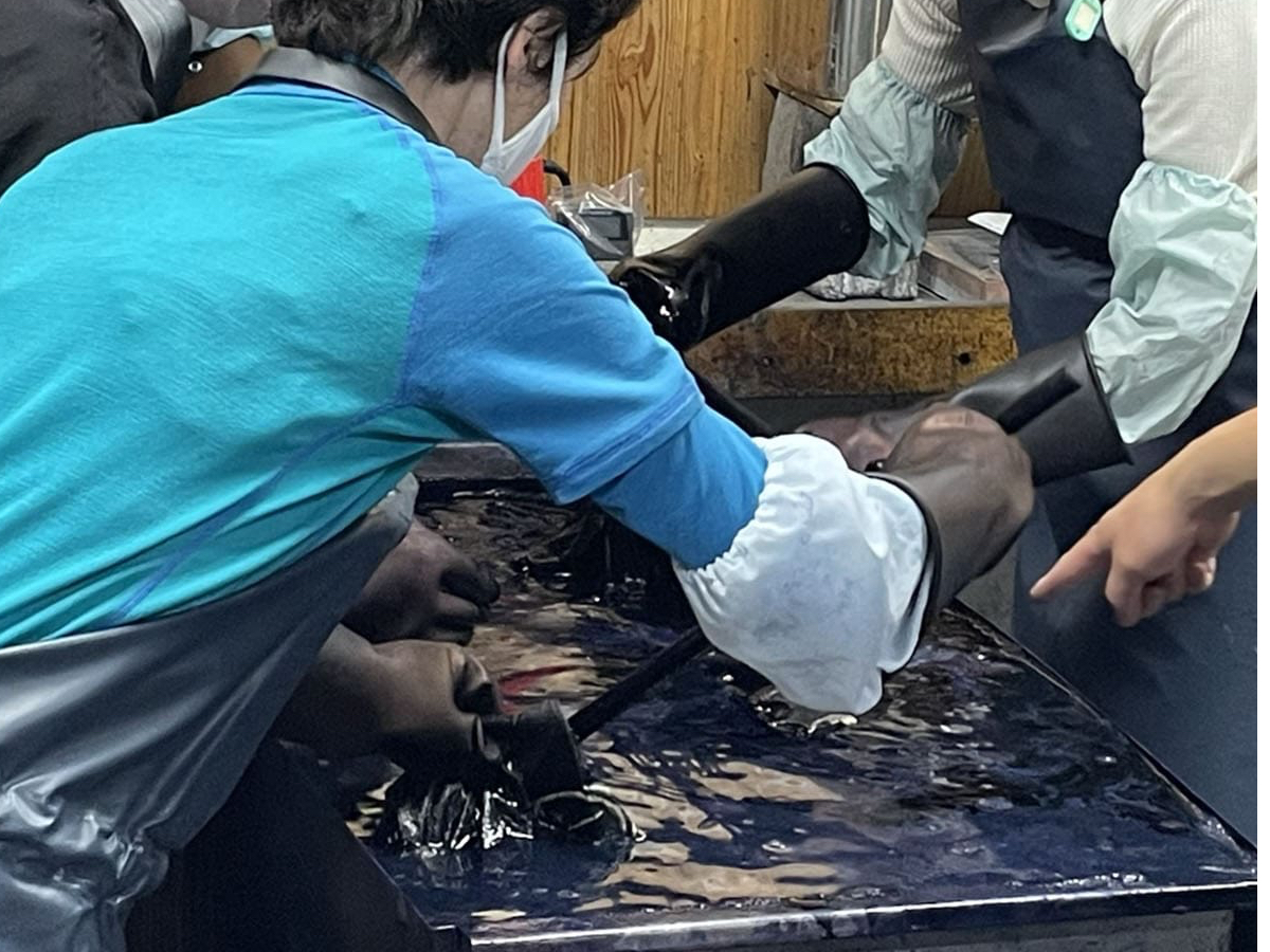 EŉG`ʂȐnɐZ߂܂B q܎gɂߑ̌y݂B