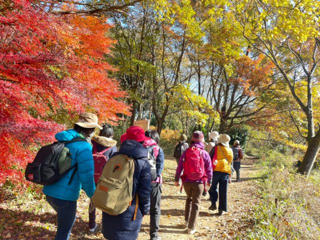 北本森林セラピーのガイドが森の生き物、自然を解説しながら一緒に過ごす半日の森歩きツアーです。