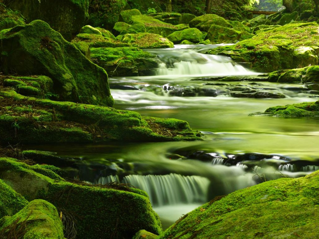 ̌̌́AԖڎl\Uł܂IVɗlXȑy߂܂