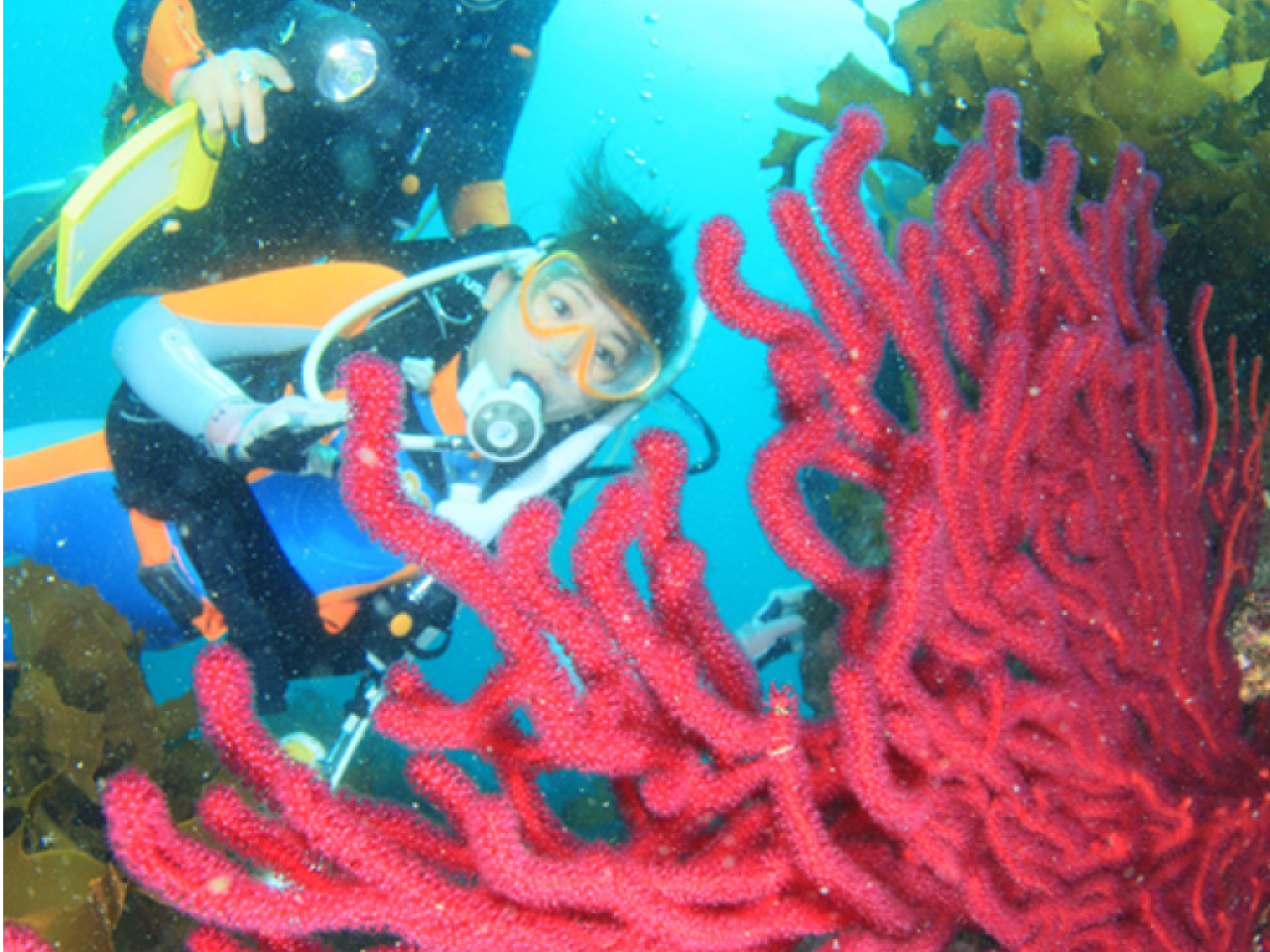 ���K�����h���}�`�b�N�ȏu�Ԃɏo�����邩��