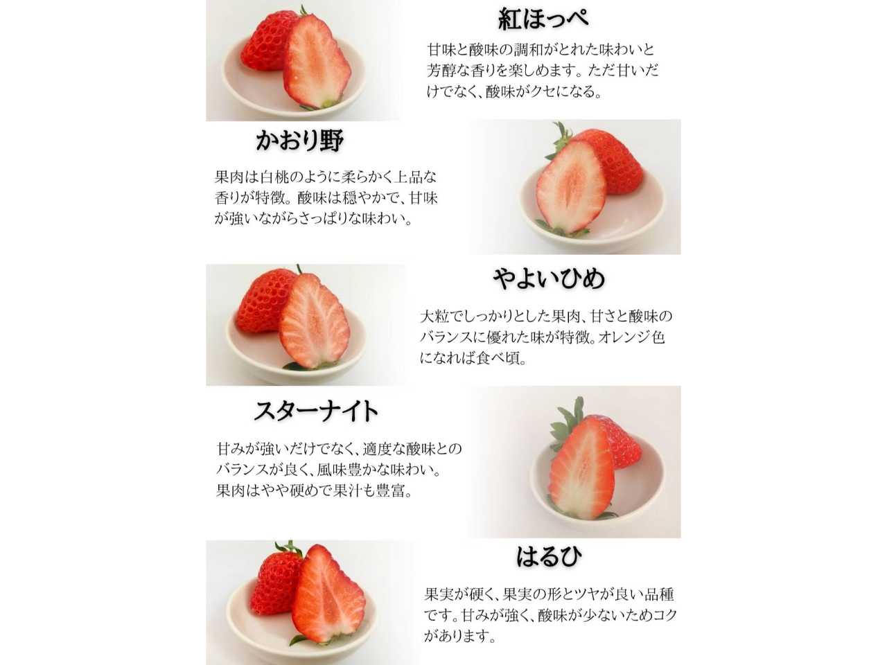 5�i��̐H�ה�ׂ��ł��܂��B