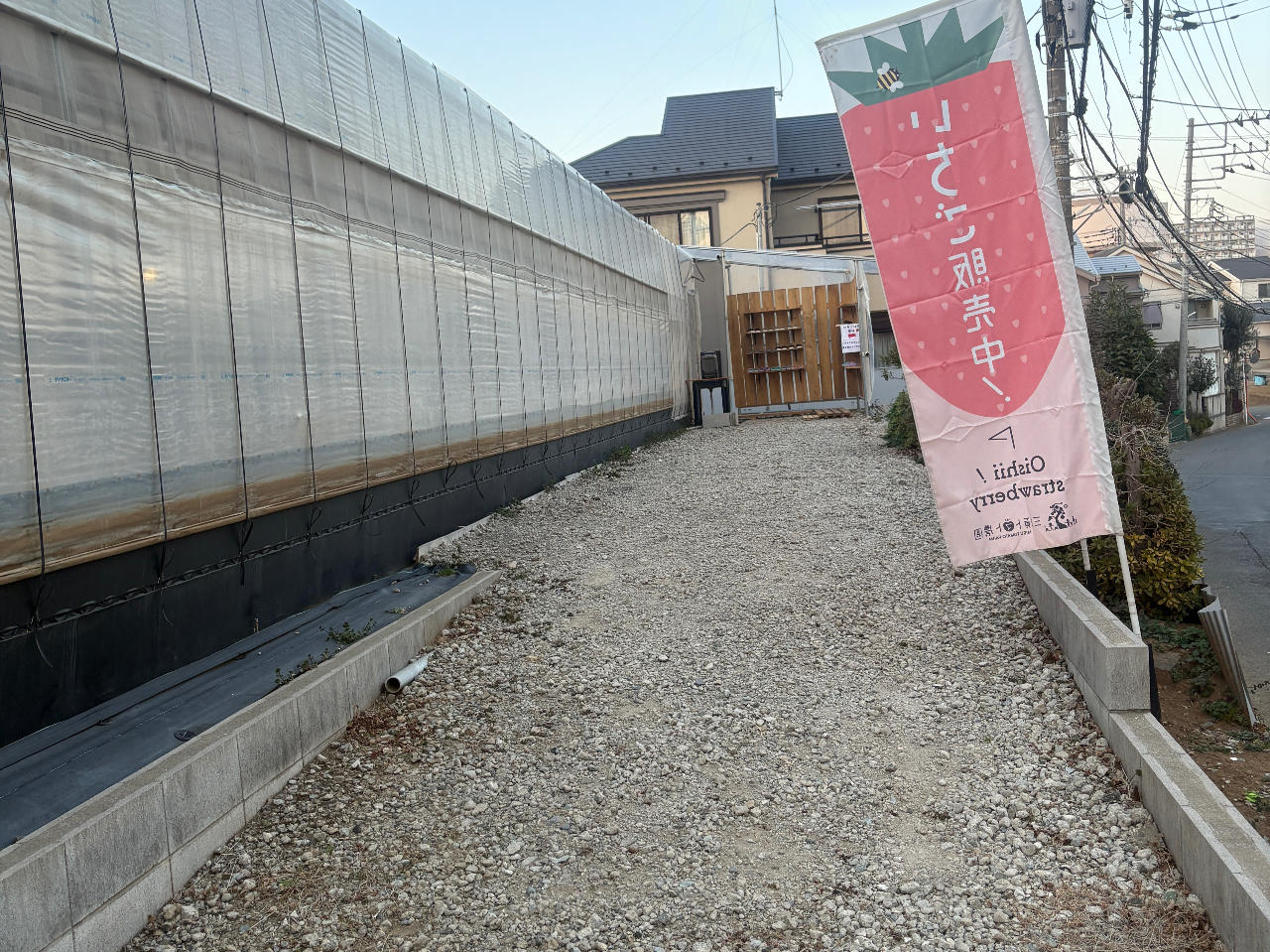 �O�{�g�}�g�_���̎ʐ^4