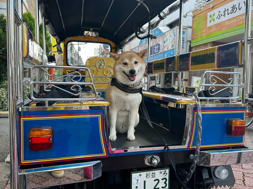 ワンちゃんも乗れます。