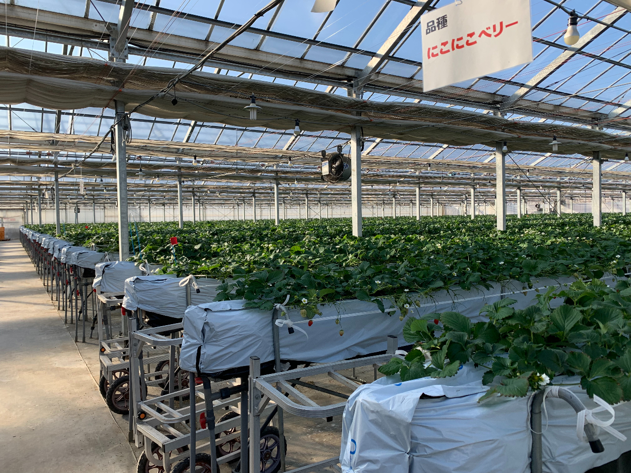 qlɂʂāAтΊ͂ł悤ȂĂ܂I