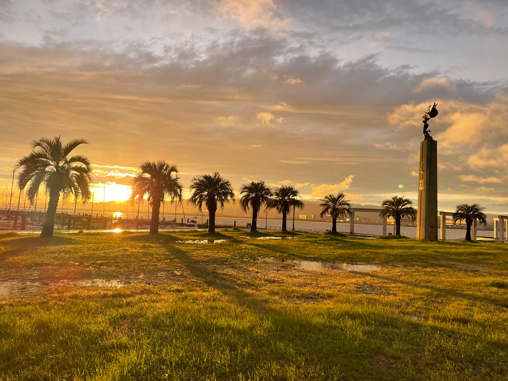 ���k�`�}���[�i�̎ʐ^3