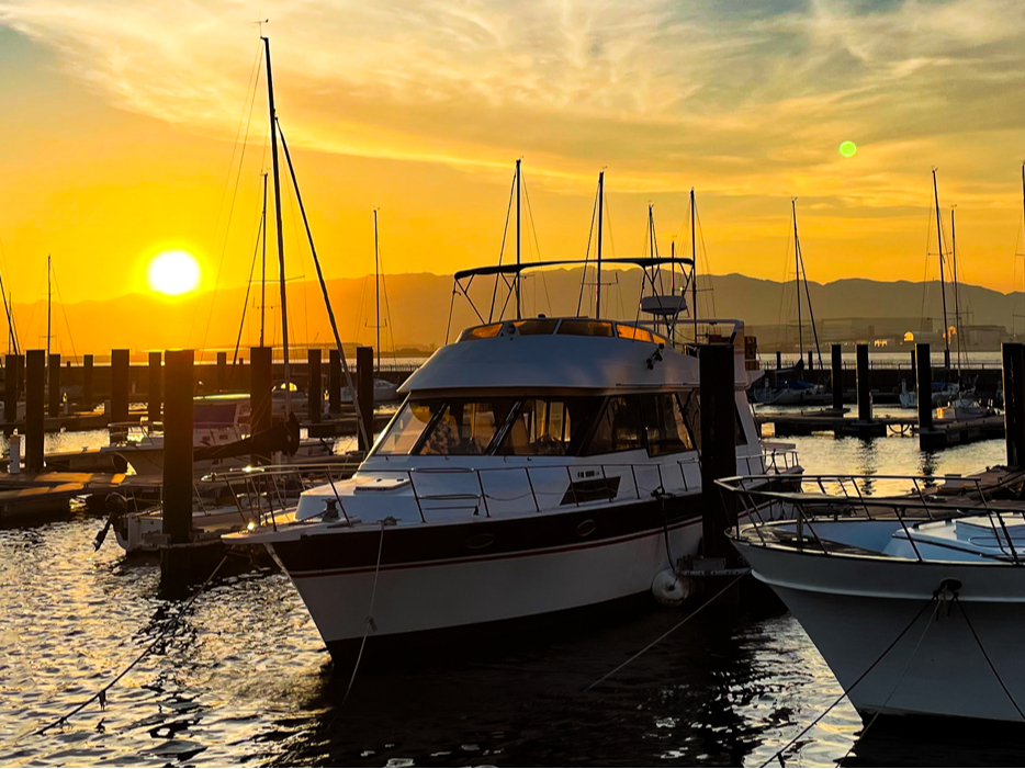 ���k�`�}���[�i�̎ʐ^4