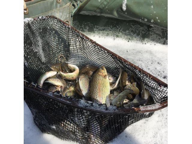 手ぶらでok ニジマス釣り 時間制限なし 初心者におすすめ 竿レンタル 仕掛 餌セット 全てコミコミで安心 割山森林公園 天湖森 じゃらん遊び体験 手ぶらでok ニジマス釣り 時間制限なし 初心者におすすめ 竿レンタル 仕掛 餌セット 全てコミコミで安心 割山森林公園 天湖森 じゃらん遊び体験