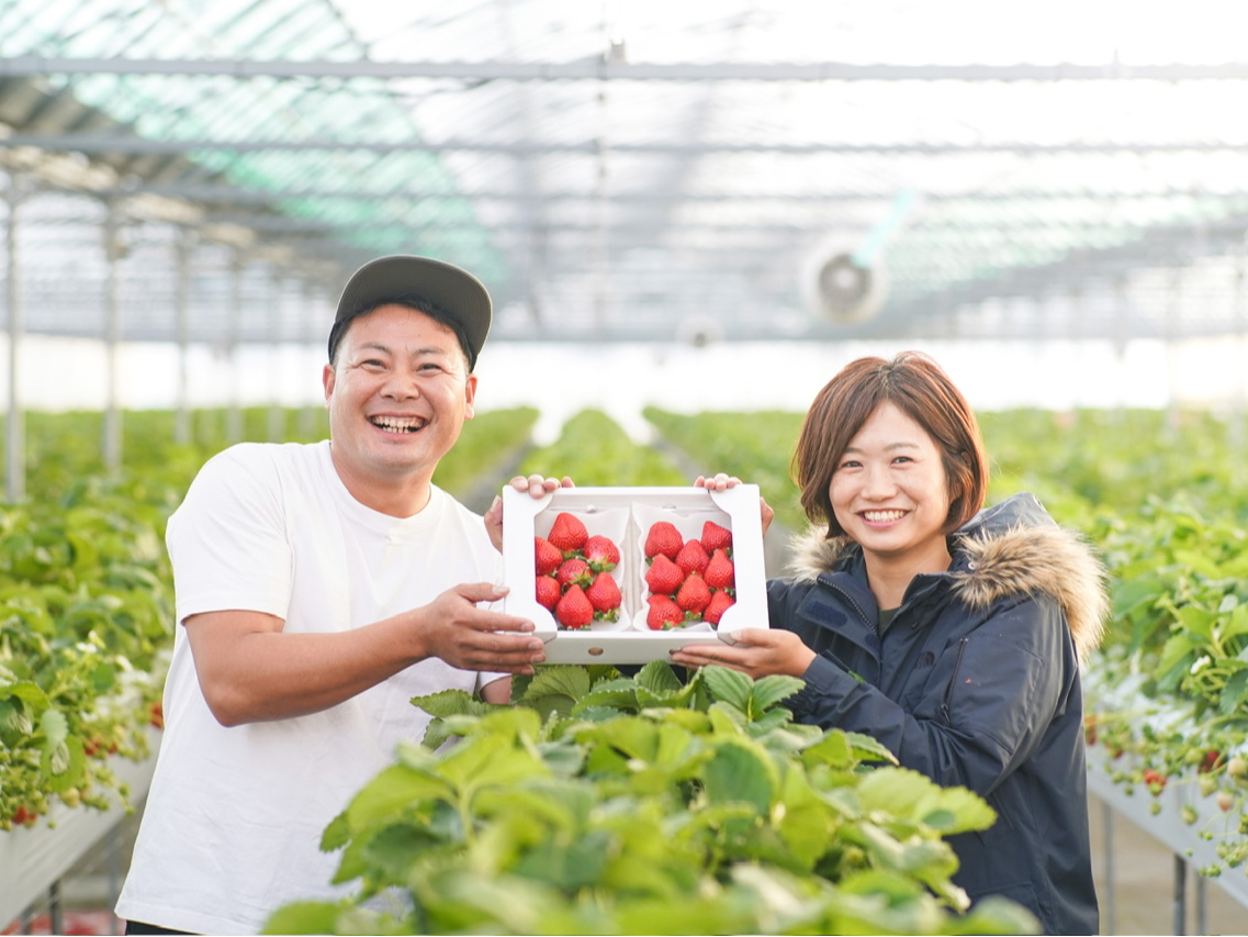 2026年◆超多品種◆<120分食べ放題>【あまおう含む最高「11品種」食べ放題...