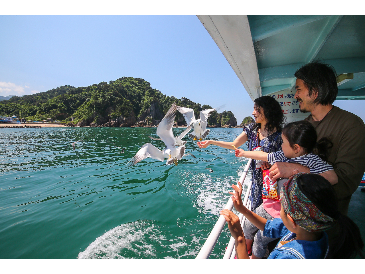 【新潟・笹川流れ】絶景遊覧船と海ネコ餌付け体験★隣接のお食事処で飲食もできる★【...