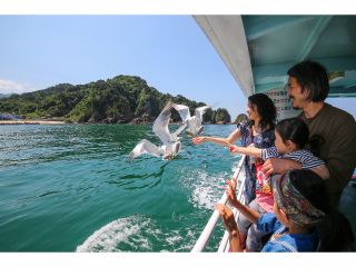 子どもも笑顔になる海ネコとのふれあい