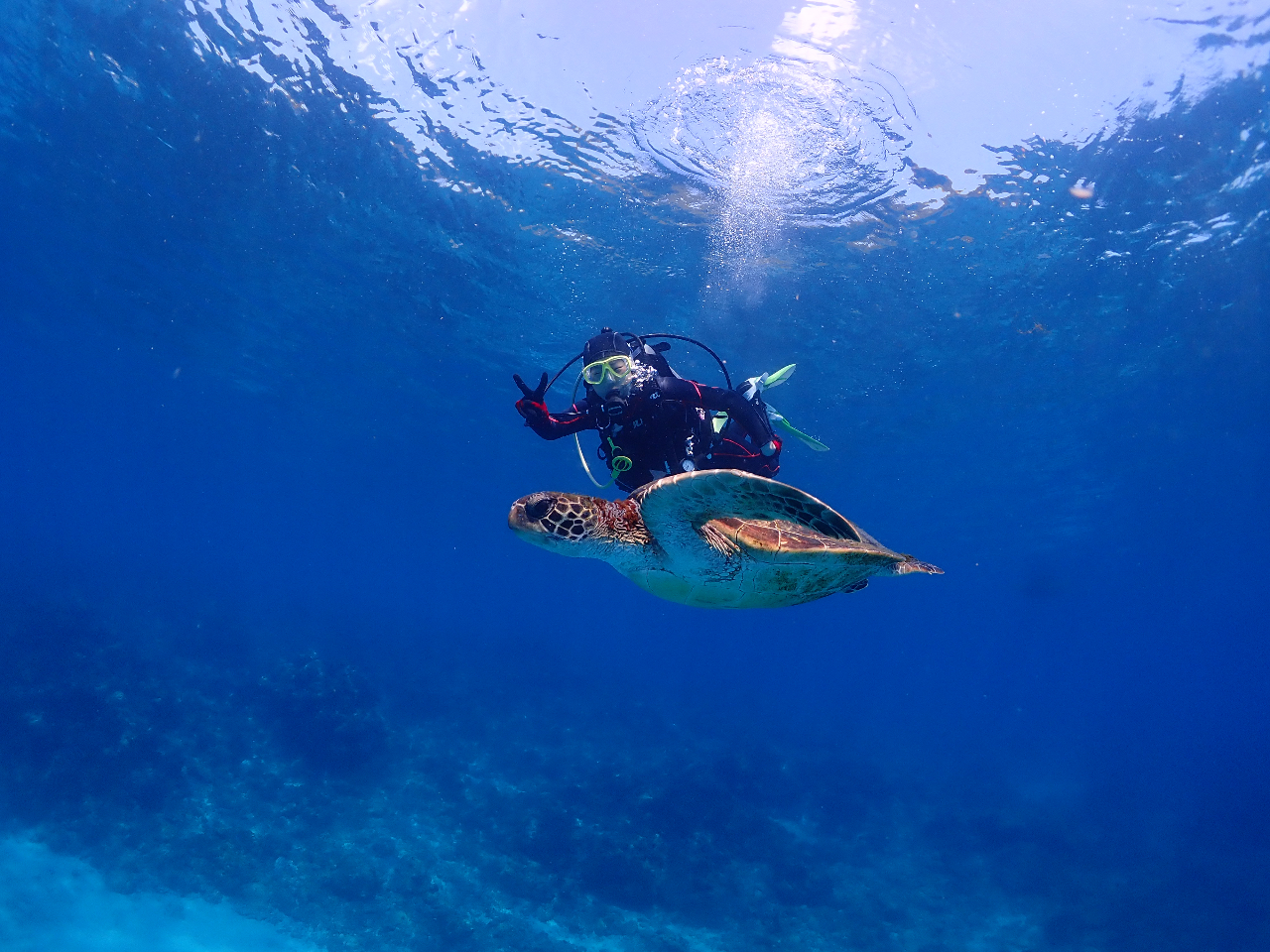 �E�~�K���Ɖj��