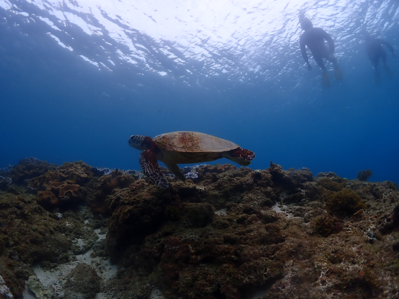 �ꏏ�ɉj������`