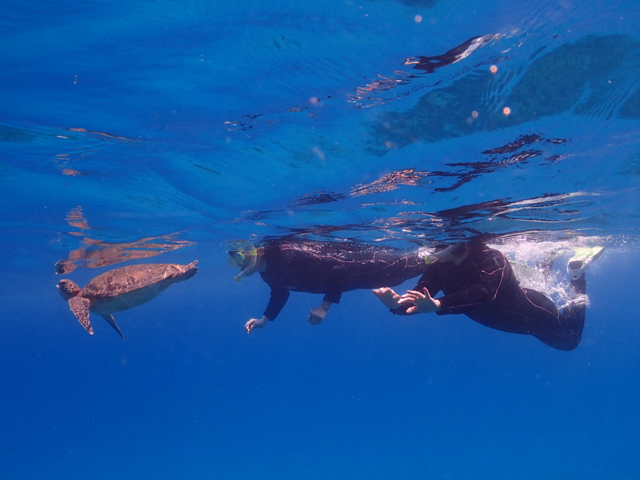 �ق���I���p�����`�炠���ā`