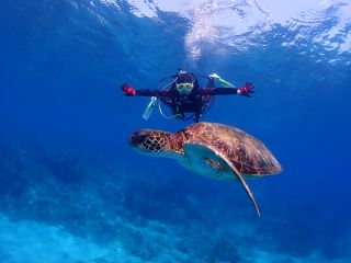 ウミガメ近いよ〜!プレミアム1ダイブ以上でこんなシーンが可能になります。写真のゲストも初めての体験ダイビングです!メチャクチャ笑顔です♪