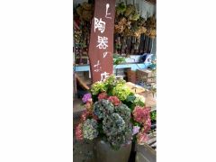 六月の美ほう庵の風景