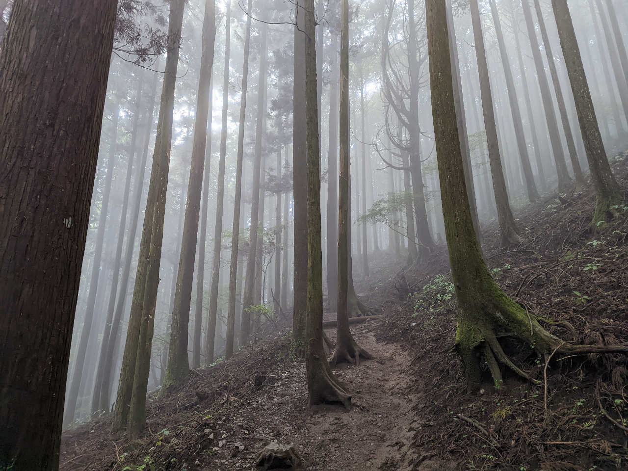 �_��������Έ�C�Ɍ��z�I�ȕ��͋C��