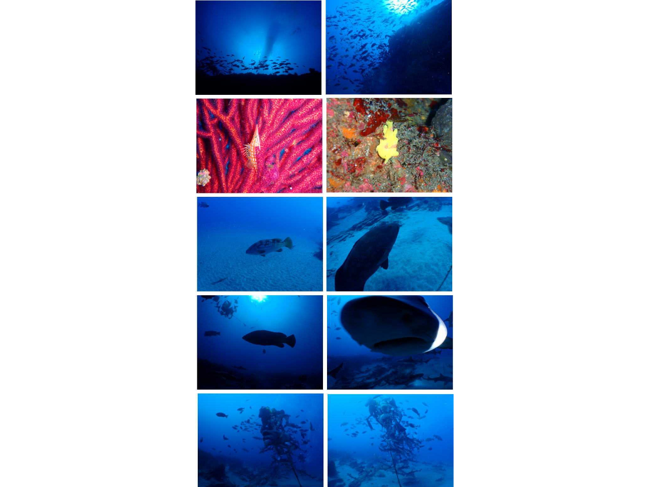 このコースを受けるほんの小さな勇気が、その後の大きな感動へとつながっています。