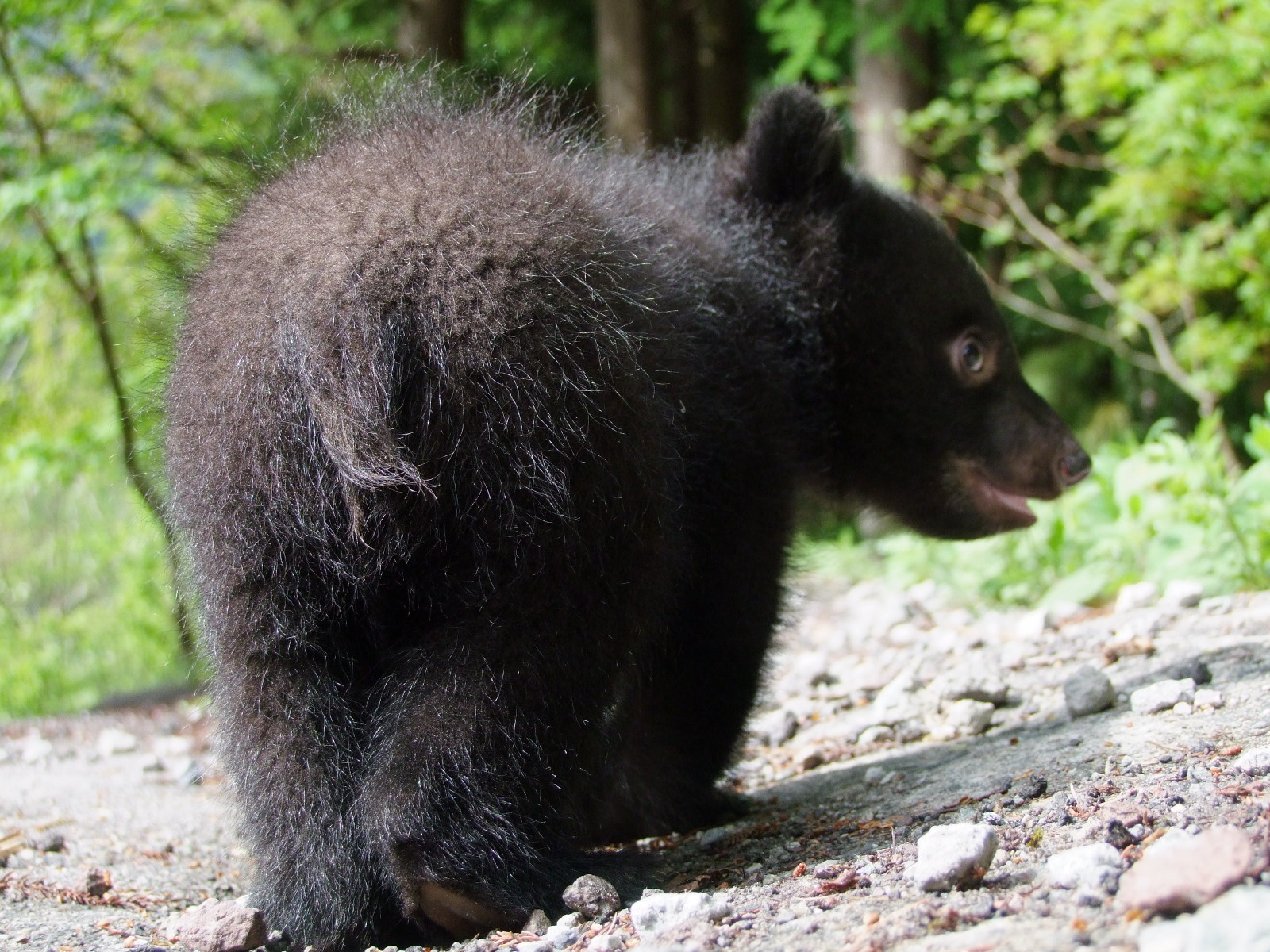 �w�K���\�