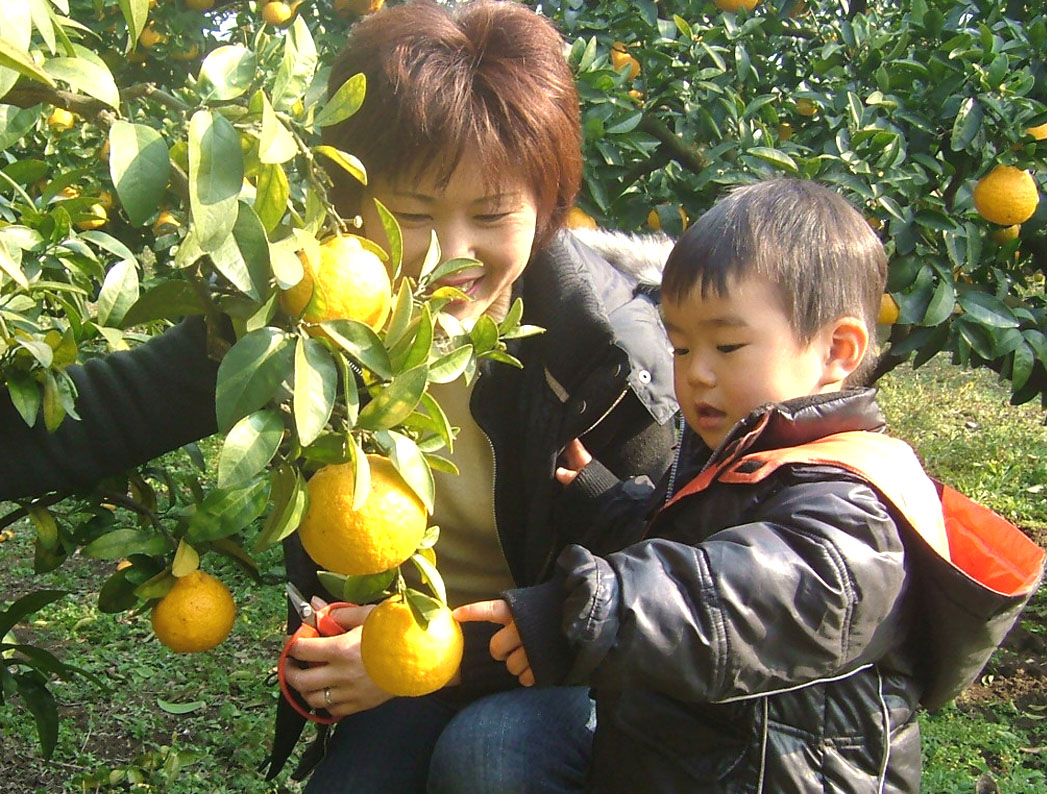 1�N��ʂ��ĉ��g�ȓ��ɓ��ł݂͂���̎�ނ��L�x�B10������6���܂őS����15��ށA����1������6���͈�x��2�`3��ނ��̒������݂���E�I�����W��肪�y���߂܂�