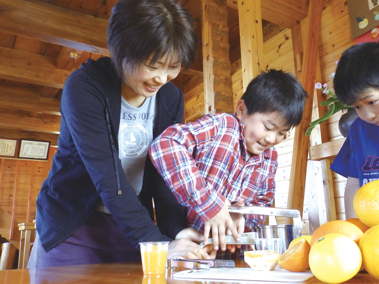 ŔĂVNȂ݂ŐW[XBȏȂVNȑfނō鐳^100W[XAȂ󂪂ȂI