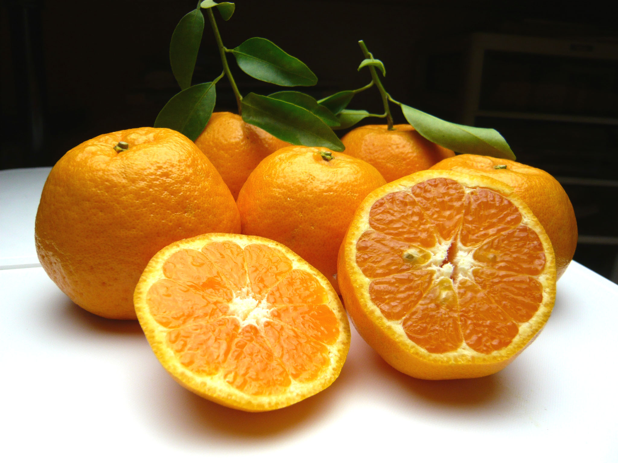 ����ʏ`�𖡂���ĉ������B