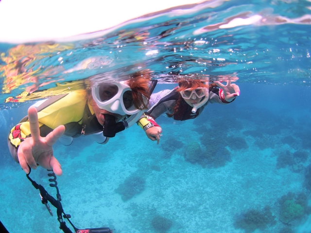 はじめはドキドキでも、顔をつければお魚も沢山
