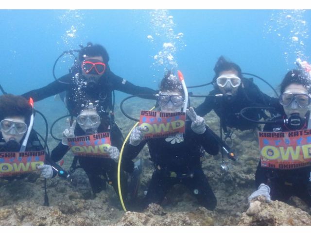 実際の海で2日間の海洋実習を行います。