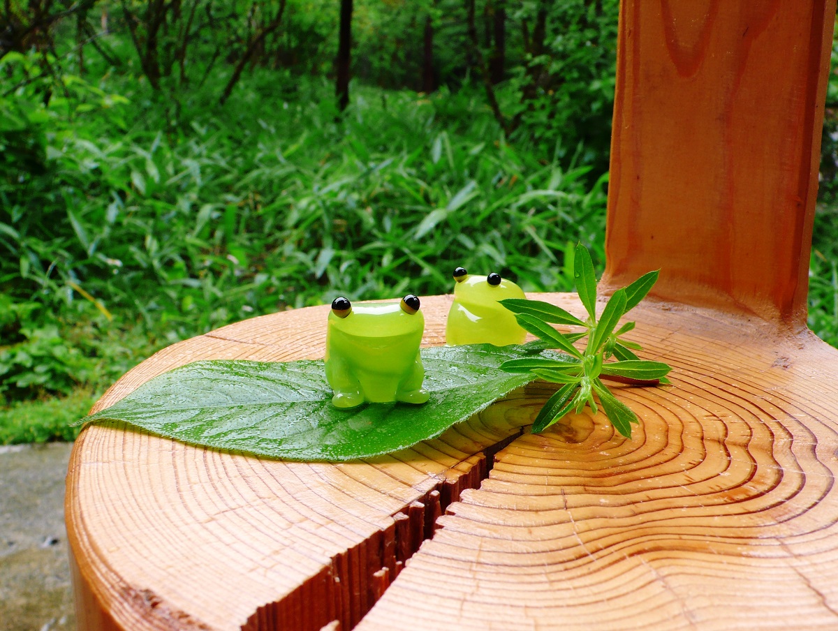 |e̍i(^^􂩂킢i񂠂܂