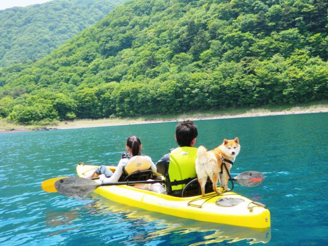 東京 静岡 山梨からアクセス 本栖湖カヤック半日体験 2人乗りコース 小さなお子様やわんちゃんと同乗可 アクアトレイル アウトフッターフジ じゃらん遊び体験 東京 静岡 山梨からアクセス 本栖湖カヤック半日体験 2人乗りコース 小さなお子様やわんちゃんと同乗可 アクアトレイル アウトフッターフジ じゃらん遊び体験