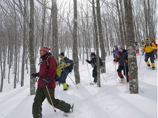 4人以上でお得♪落倉高原*浅間山(せんげんやま)スノーシューハイキング