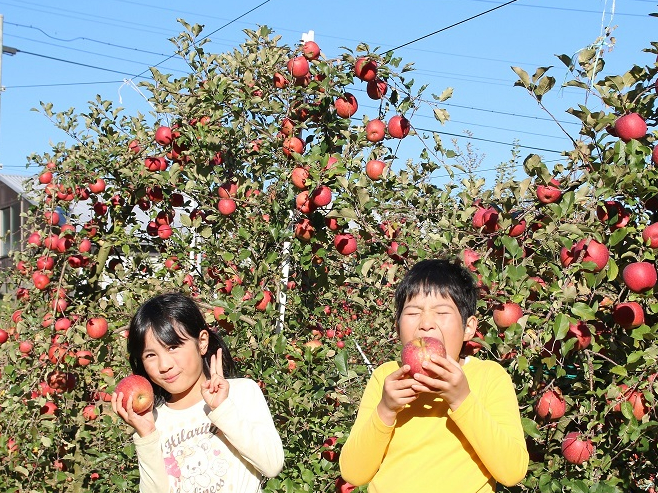 MB͓˗ʂSgbvNXłB܂At~x̂ŁAp̊ԂA񂲂̓x̂łB