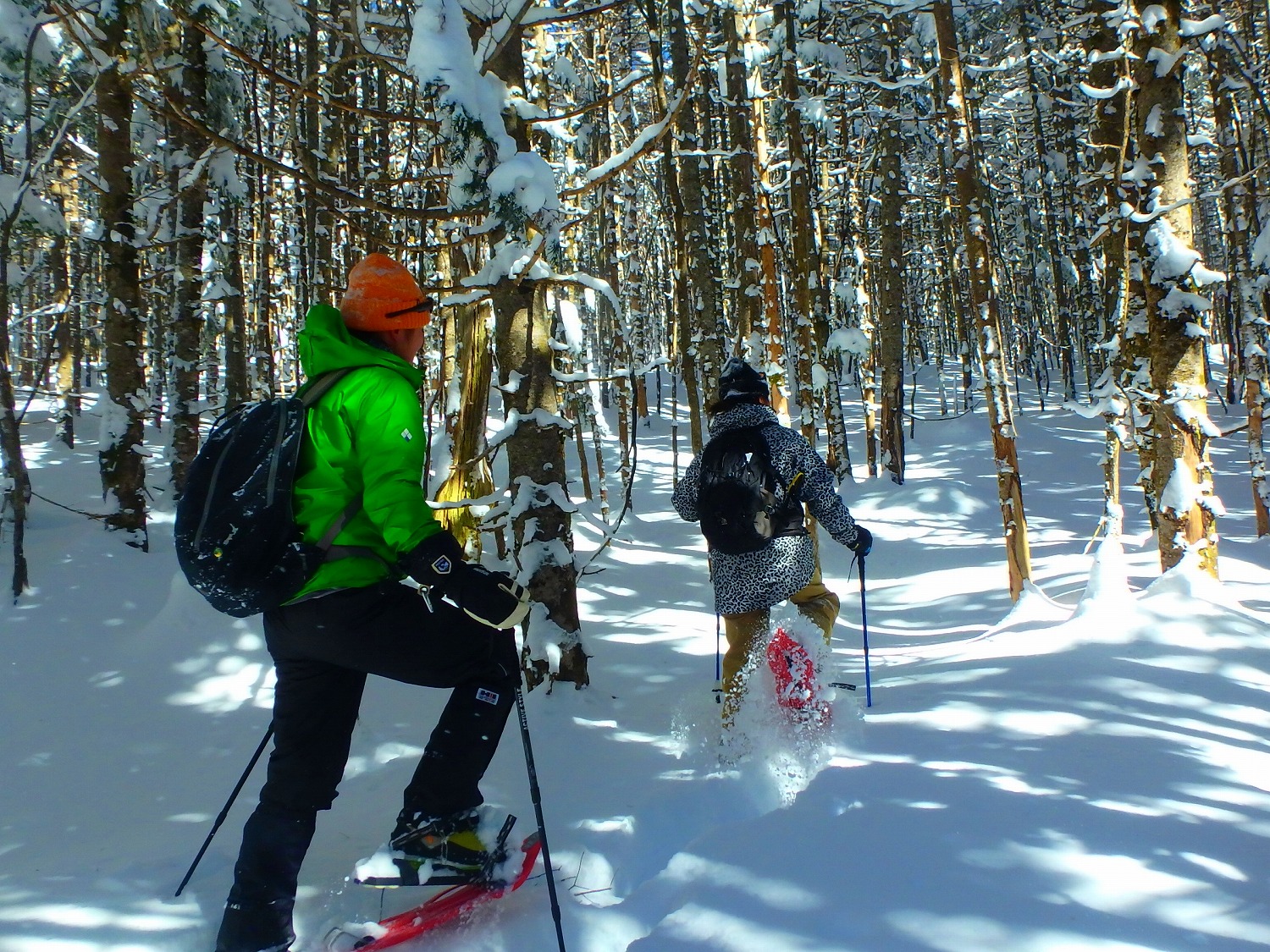 �k�����x�̐X�̒��ցI���z�I�ȕ��i�����Ȃ���҂��Ă܂���B�Ⴊ�Ȃ��Ƃ͓���Ȃ��G���A�ւ悤�����I