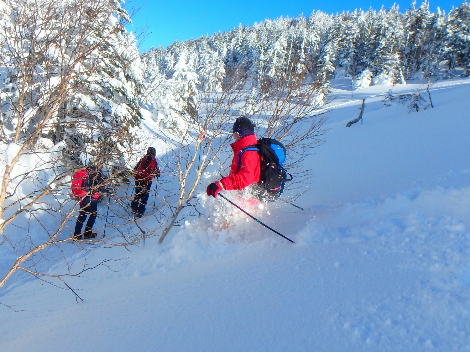 �ӂ��ӂ��p�E�_�[�X�m�[�𖞋i�I